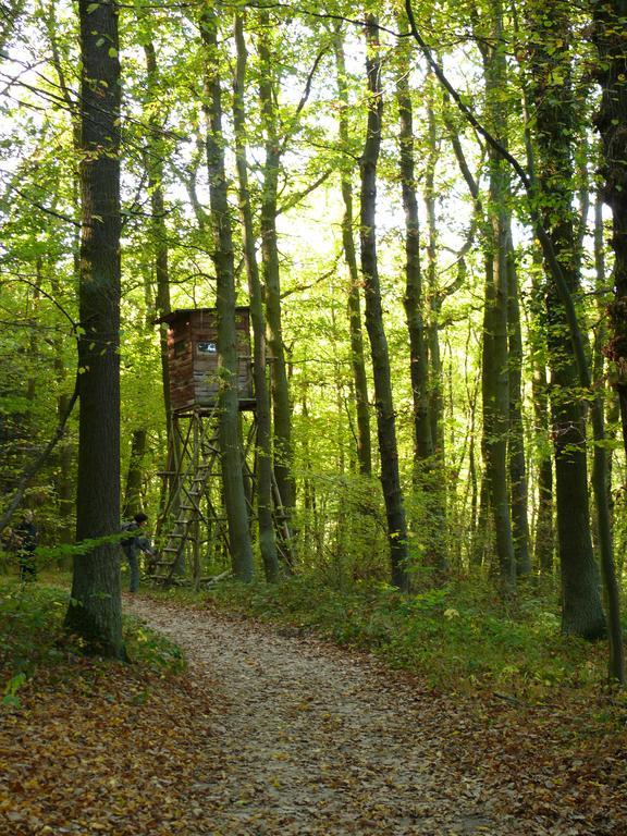 Ferienwohnung Bappert Oberwesel Exteriér fotografie